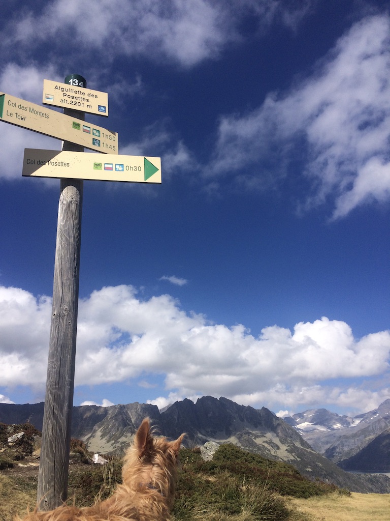 Show POIs on the Map on Hiiker Android and iOS apps