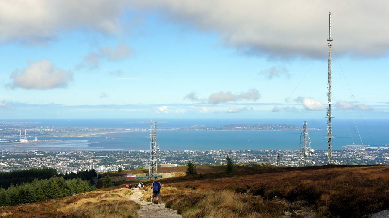 See your User ID on Hiiker