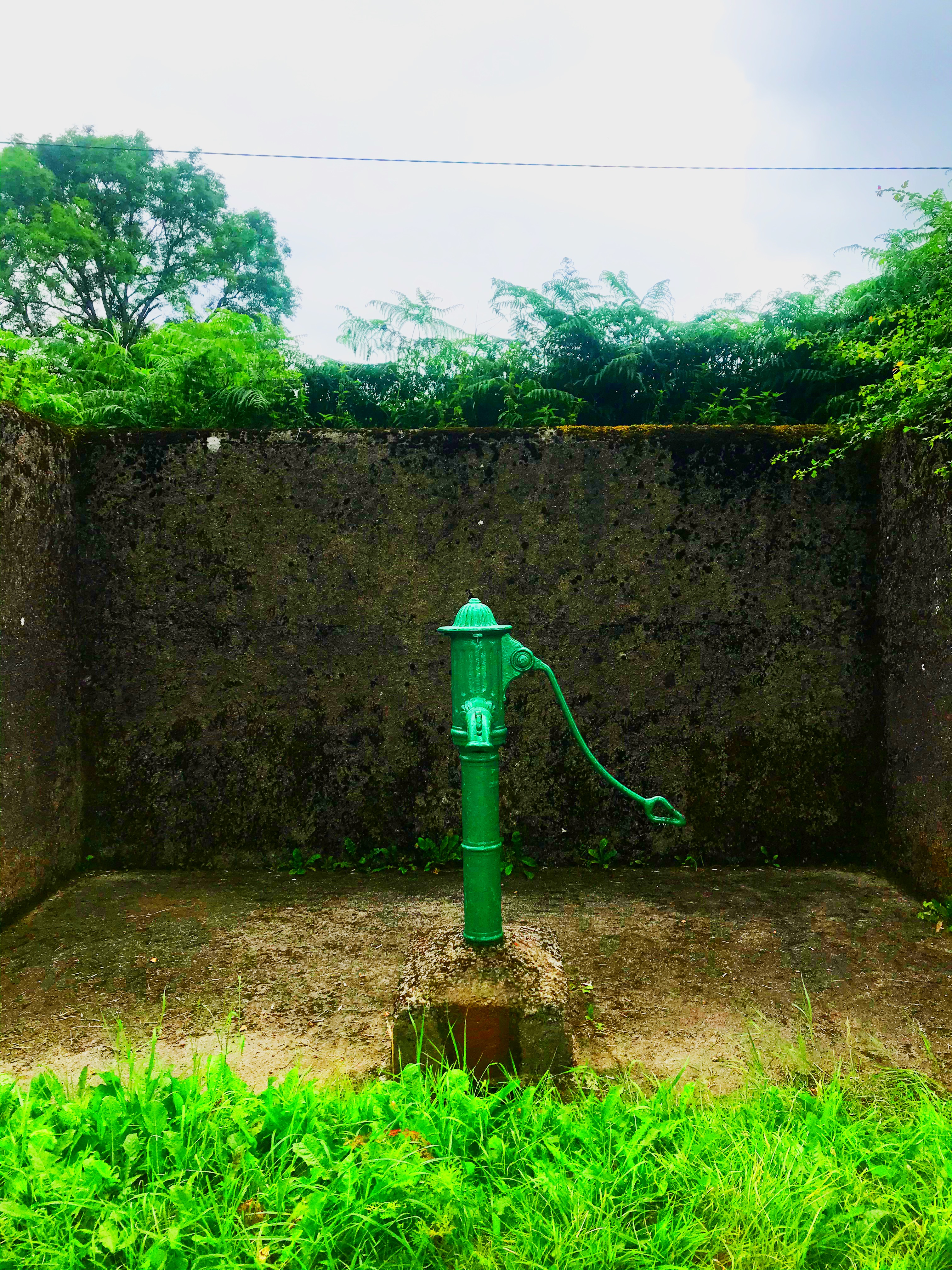 The E8 Trail Day Five (Kildavin to Graiguenamanagh)