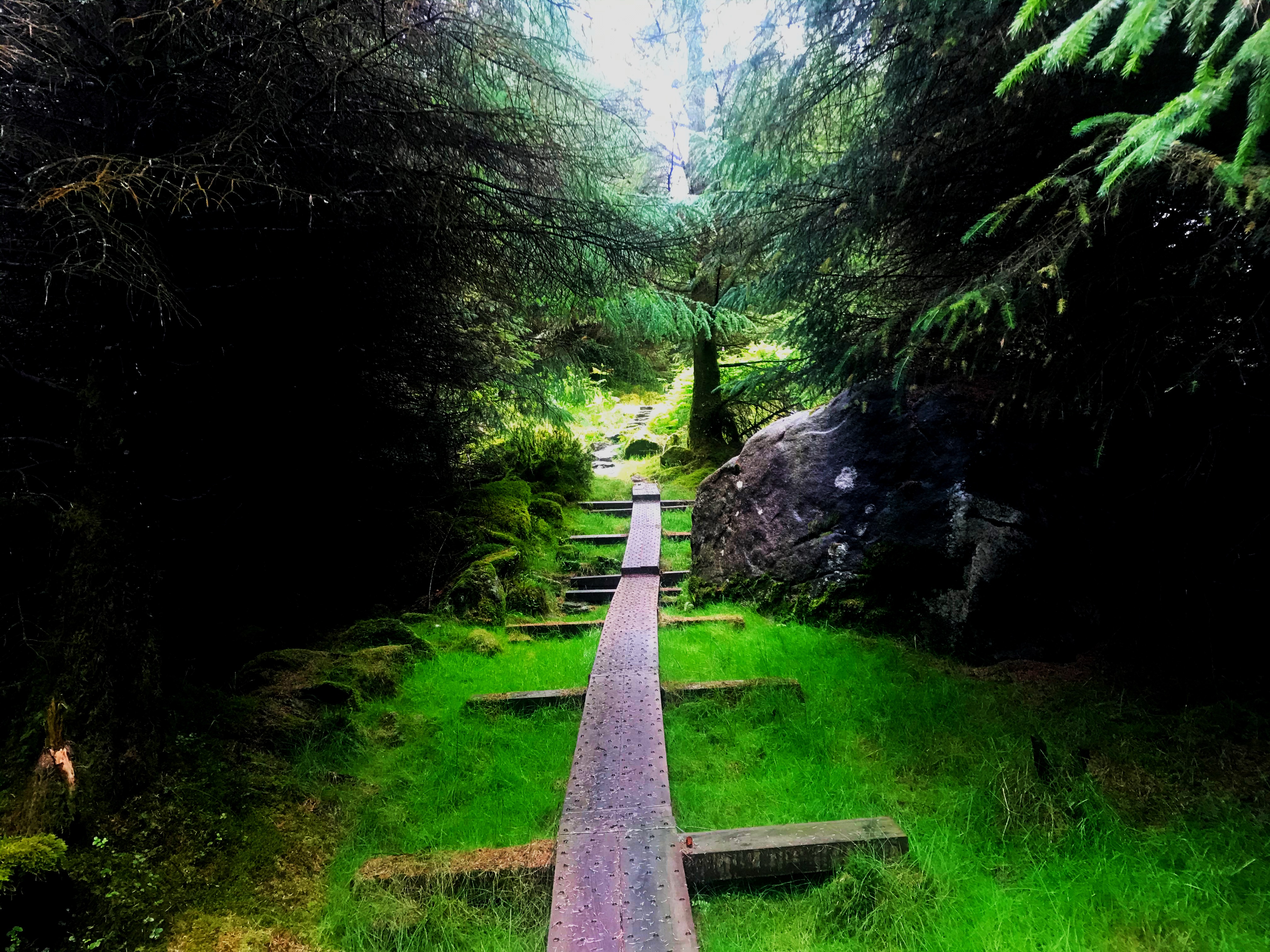 The E8 Trail Day Three (Mullacor Hut to Mangan’s Wood/Tinahely)