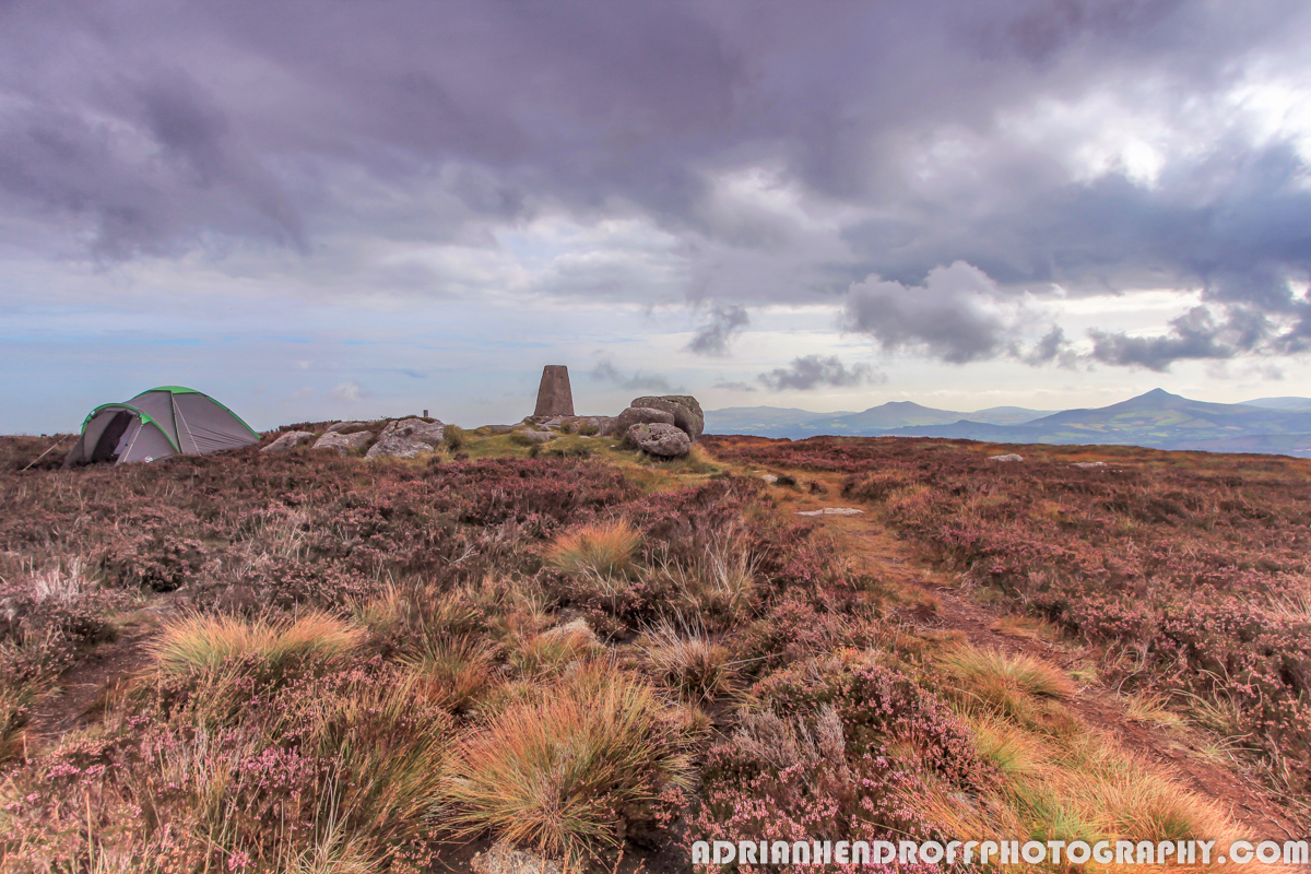 Prince Williams Seat Loop