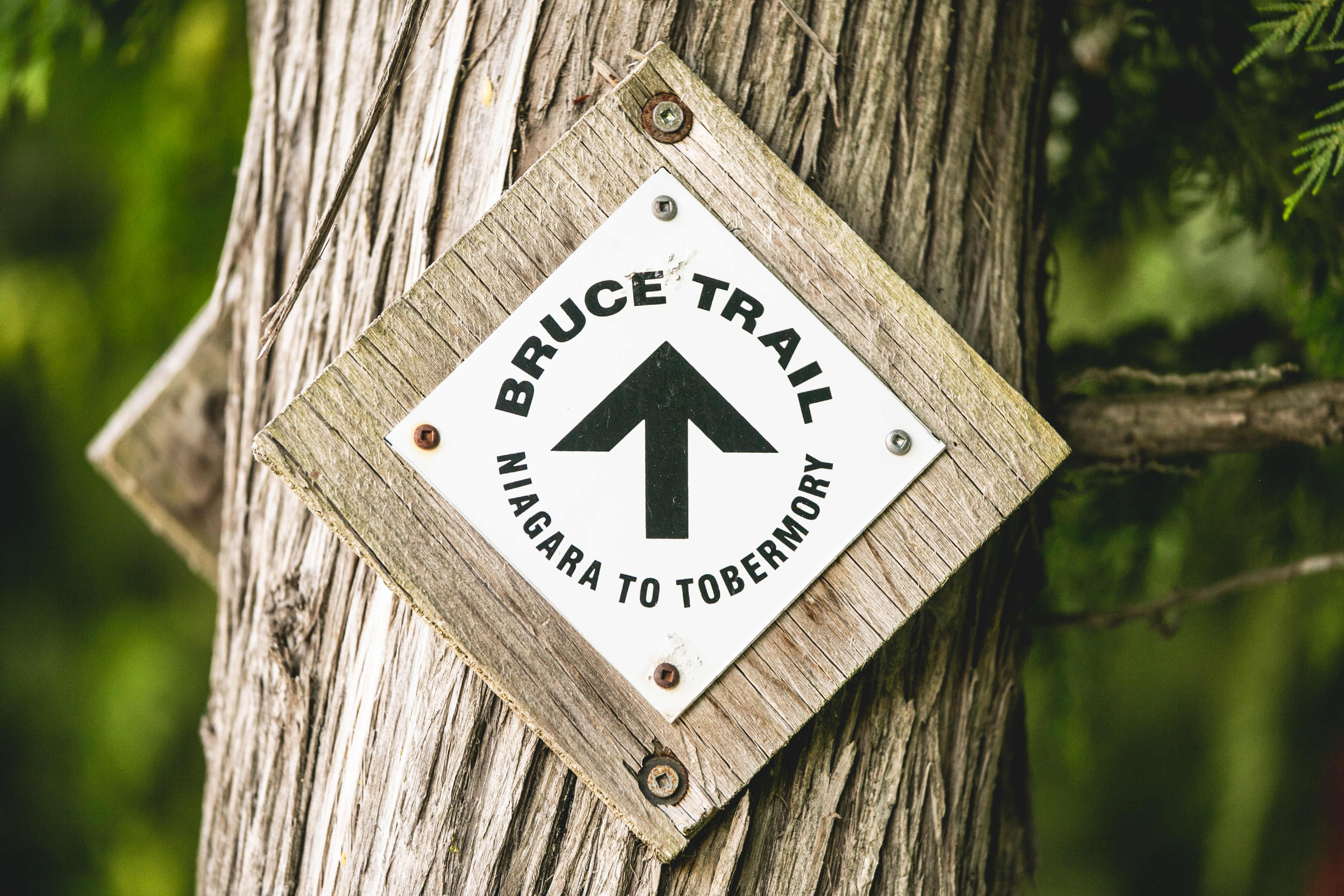 A Complete Guide to Hiking the Bruce Trail