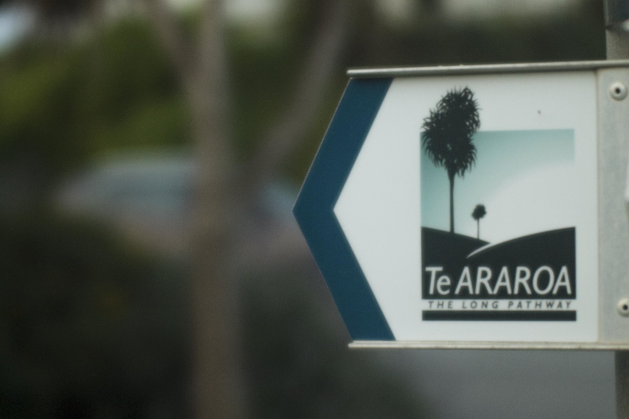 Te Araroa: The Long Pathway
